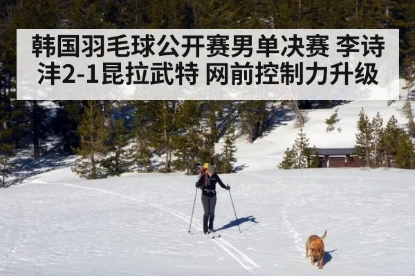 韩国羽毛球公开赛男单决赛 李诗沣2-1昆拉武特 网前控制力升级（leyu）